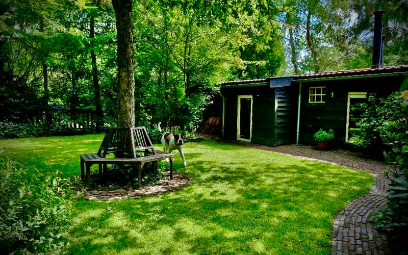 Bed & Breakfast "Het Rycke Leven"