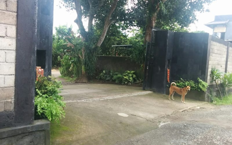Agung Home Stay