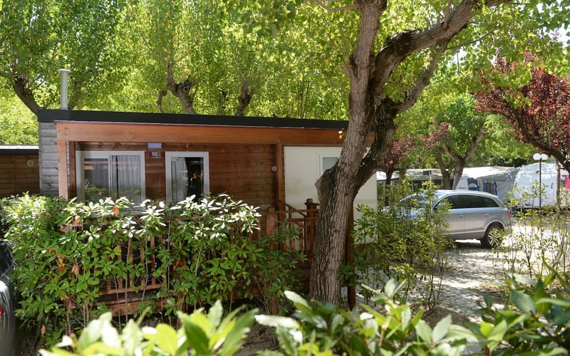 Camping Riccione S.r.l.