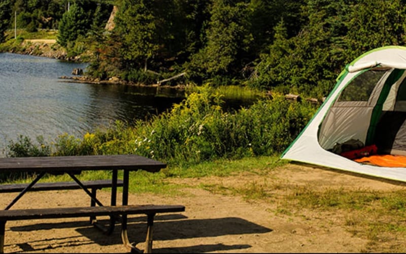 BRDC Campsite